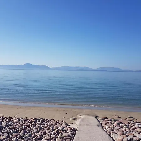 度假村 Woodlands *