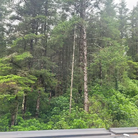 Woodlands * 穆尔兰尼