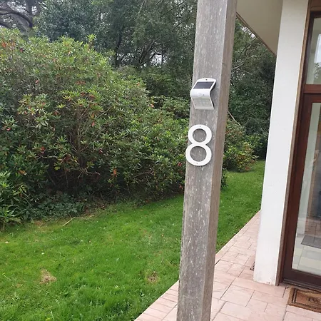 度假村 Woodlands *