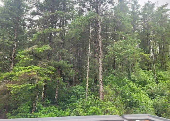 Woodlands * Mulranny